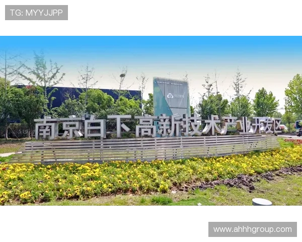 南京乒乓球队实力全解析：从训练到比赛的全面探讨与展望