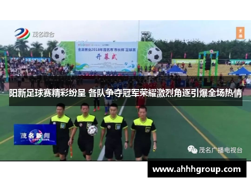 阳新足球赛精彩纷呈 各队争夺冠军荣耀激烈角逐引爆全场热情